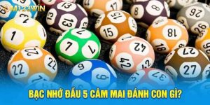 Bạc nhớ đầu 5 câm mai đánh con gì?